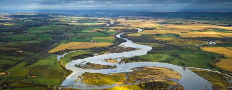 Réserve naturelle du val d'Allier : méandres, nature, visite avec un guide